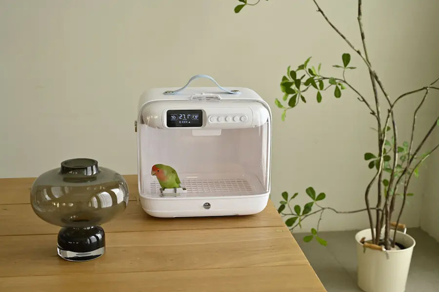 PETOLIVA vs Brinsea TLC‑30 Advance | Portable Parrot/Bird Brooder