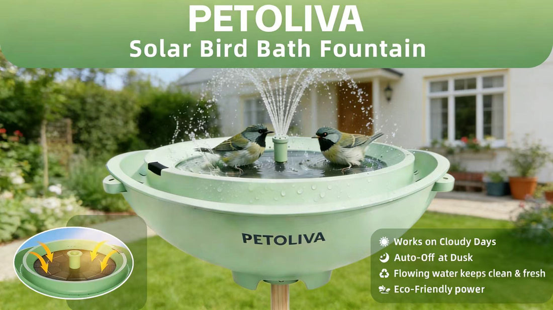 PETOLIVA Solar Powered Bird Bath Fountain: Eco-Friendly Solar Water Feature to Attract Wild Birds