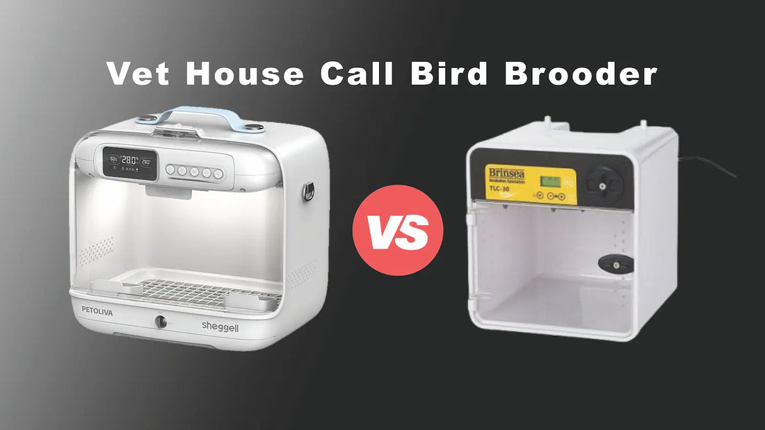 Portable Bird Brooder Comparison for Avian Veterinarians: PETOLIVA vs Brinsea TLC-30 Advance