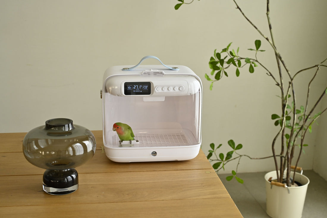 PETOLIVA vs Brinsea TLC‑30 Advance | Portable Parrot/Bird Brooder