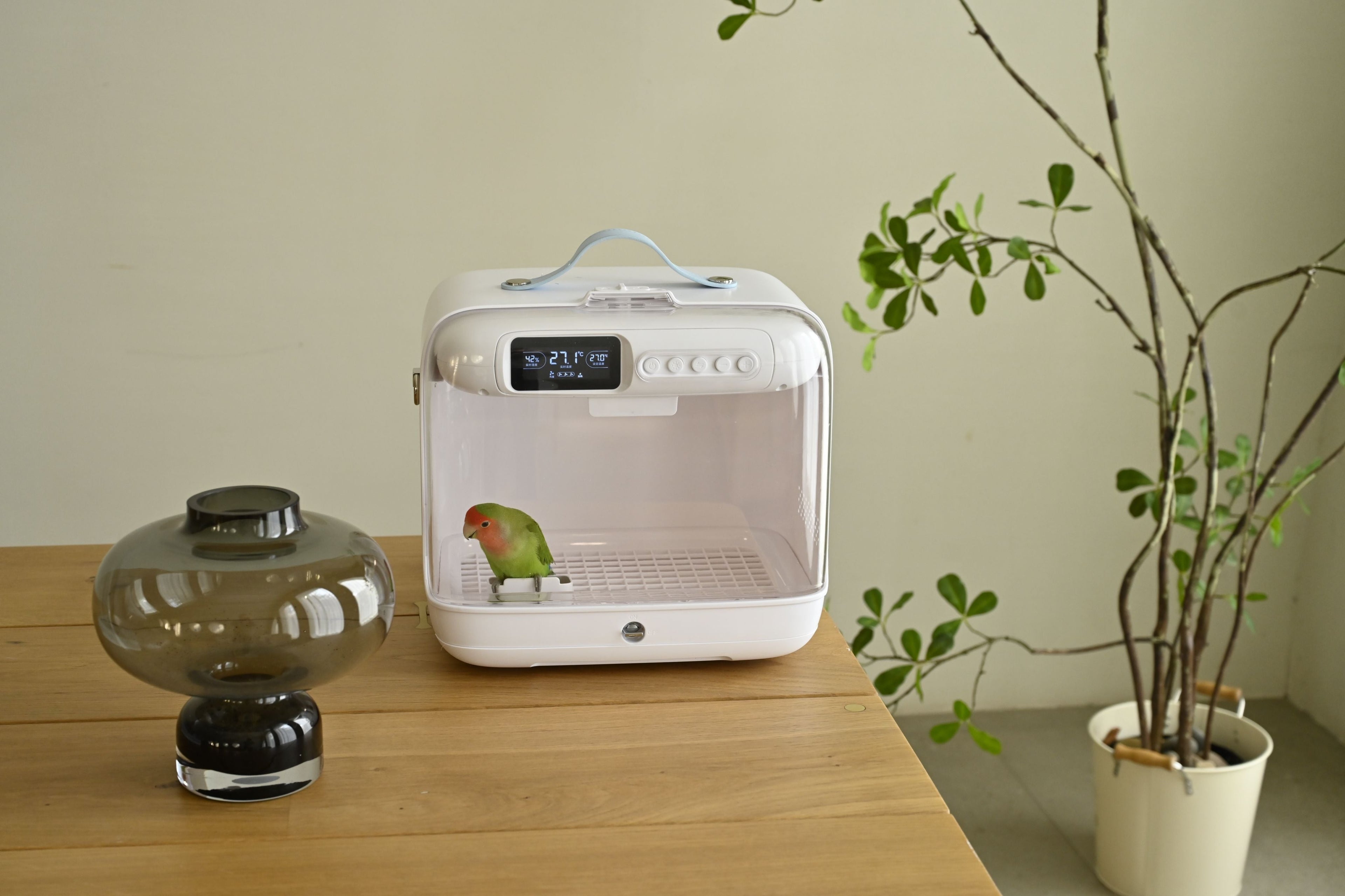 PETOLIVA vs Brinsea TLC‑30 Advance | Portable Parrot/Bird Brooder