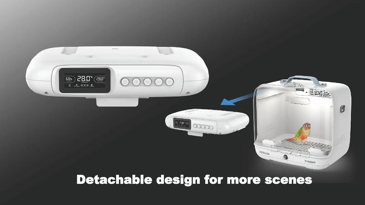 PETOLIVA Smart Bird Brooder with detachable top heating control module, separable design for flexible avian and parrot nursing scenarios