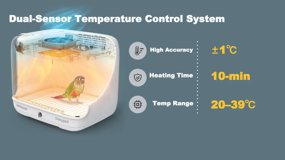 PETOLIVA Smart Bird Brooder dual-sensor temperature control system, ±1℃ high accuracy, fast heating, temperature range 20-39℃ for parrot recovery