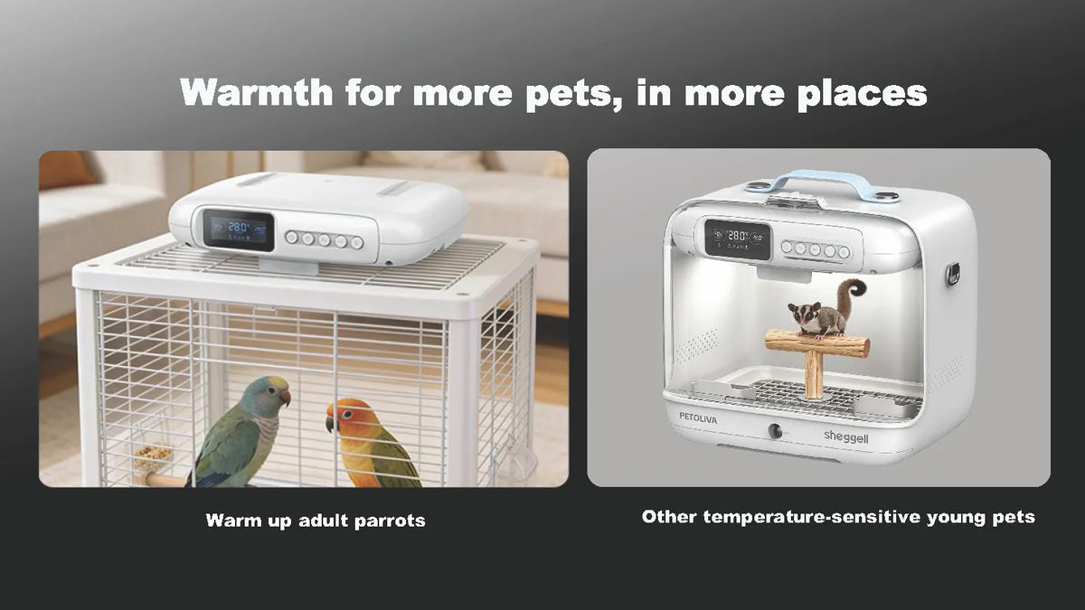 PETOLIVA Smart warming brooder for adult parrots and temperature-sensitive small exotic pets, portable temperature control enclosure