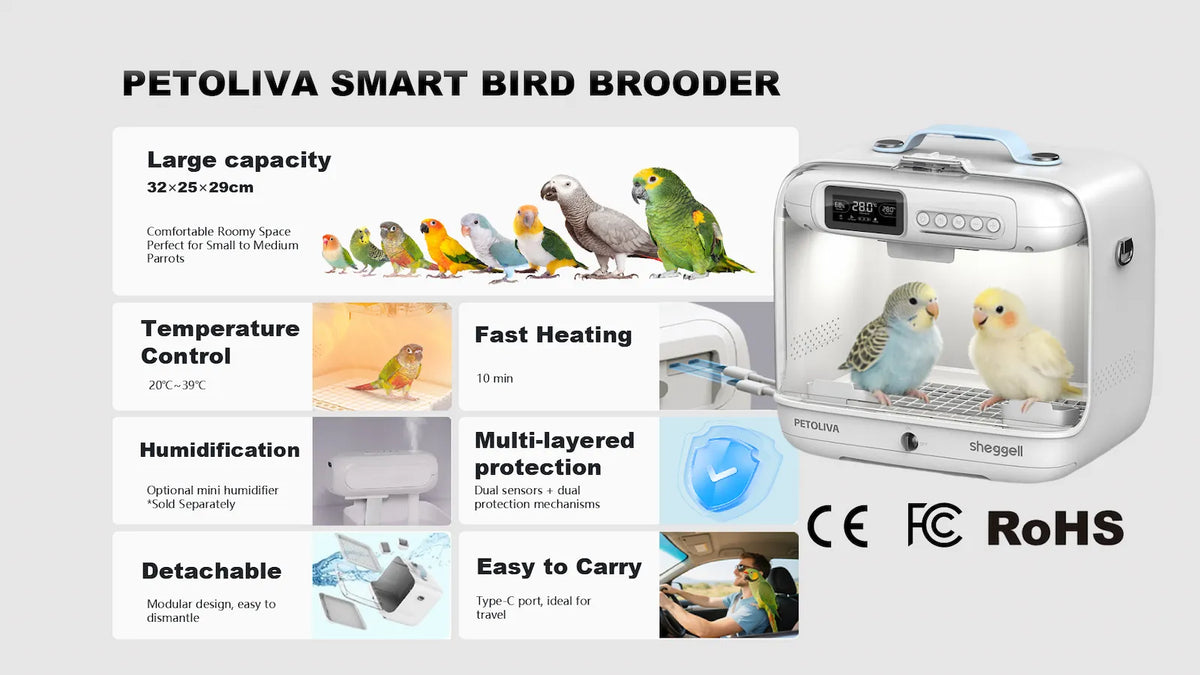PETOLIVA Smart Bird Brooder overview banner, large 32×25×29cm space for small-medium parrots, temperature control, fast heating, detachable modular design, portable with CE FC RoHS certification