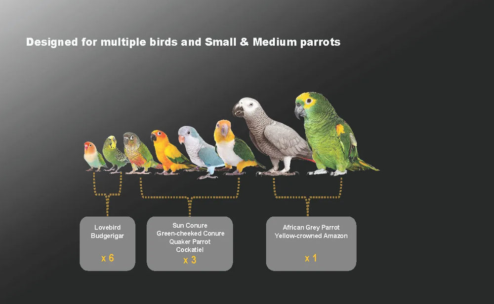 PETOLIVA Smart Bird Brooder suitable for small and medium companion parrots, lovebird, budgie, cockatiel, conure, african grey and amazon parrot